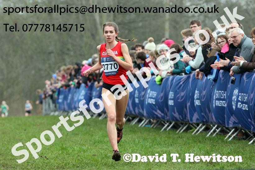 Girls under-15s Inter Counties Cross Country, Prestwold Hall, Loughborough. Photo: David T. Hewitson/Sports for All Pics